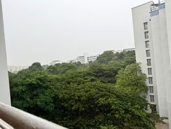 Blk 289 Tampines Street 22 (Tampines), HDB 5 Rooms #556967871